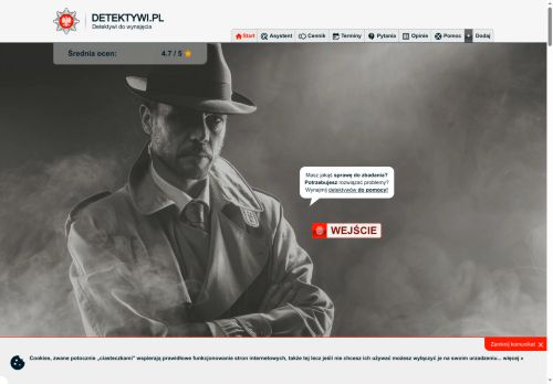 Prywatny detektyw co może ustalić
